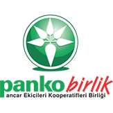 pankobirlik