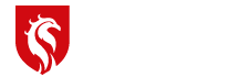 Simurg Güvenlik